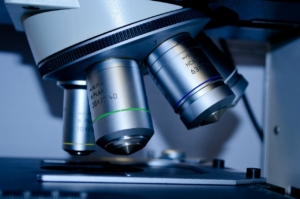 Wissenschaftliche Übersetzung bie Bohmann Übersetzungen